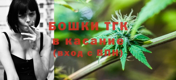 гашик Сатка