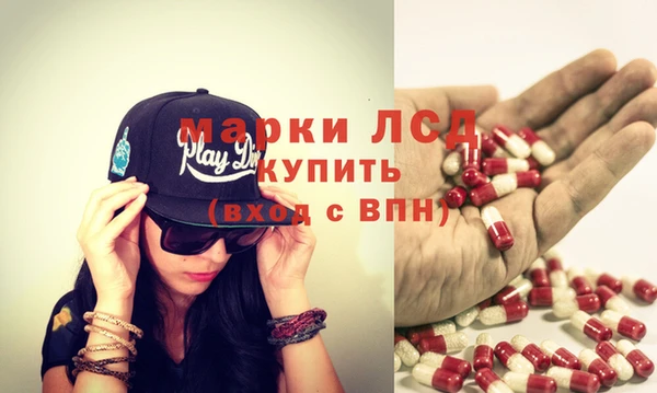 гашик Сатка