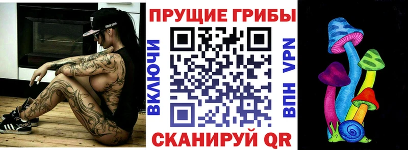 Галлюциногенные грибы Cubensis  блэк спрут ссылки  Чердынь 